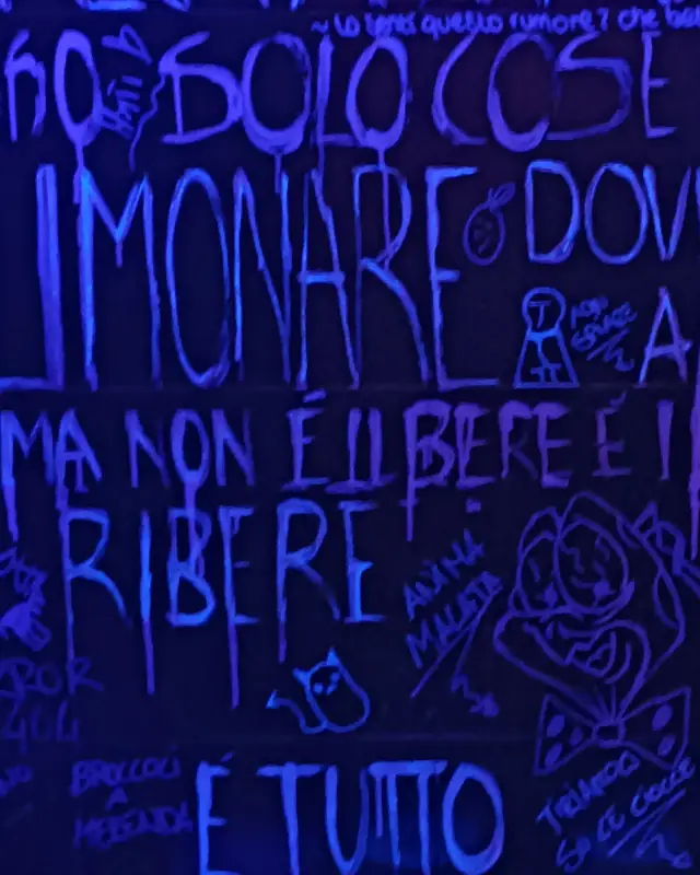 Una parete del bagno coperta di scritte: solo cose belle, limonare, il problema non è il bere è il ribere
